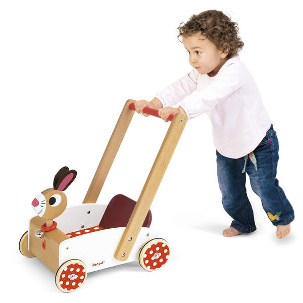 Chariot Crazy Rabbit