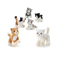 Peluche chaton 23cm (modèle aléatoire)