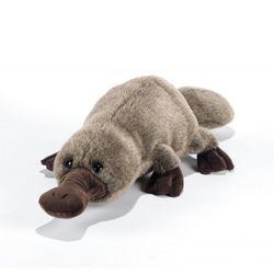 Peluche ornithorynque de Tasmanie 50cm