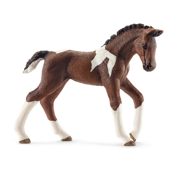Poulain Trakehnen
