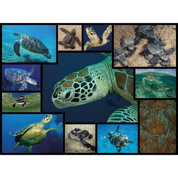 Puzzle 1000pc - tortues