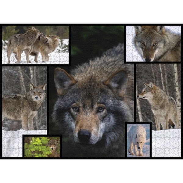 Puzzle 1000 pièces loups