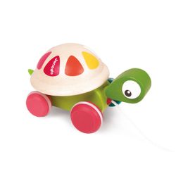 Tortue à Promener
