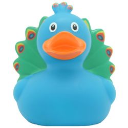 Canard de bain paon