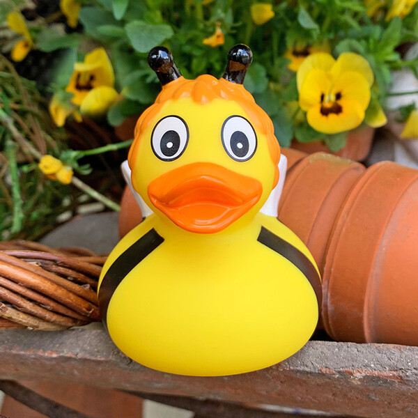 Canard du bain abeille