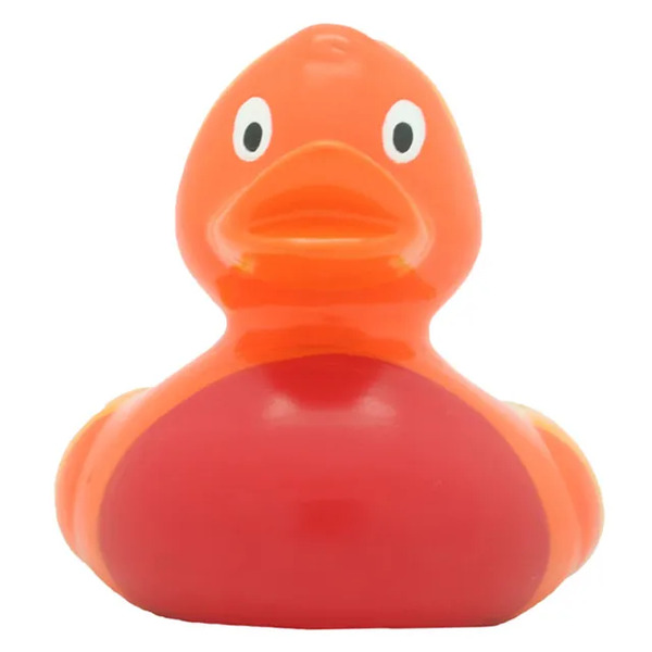 Canard de bain arc-en-ciel