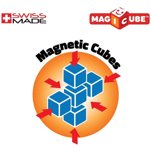 Magicube Insectes 4 cubes - Geomag