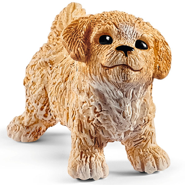 Enclos à chiots