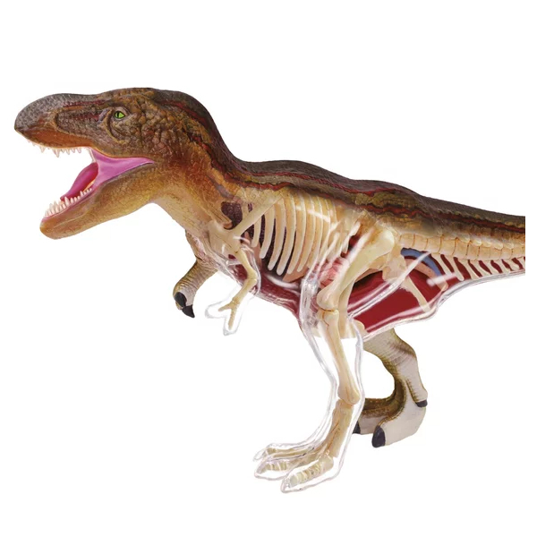 Coffret de science Paléontologie - Tyrannosaurus REX - Explora