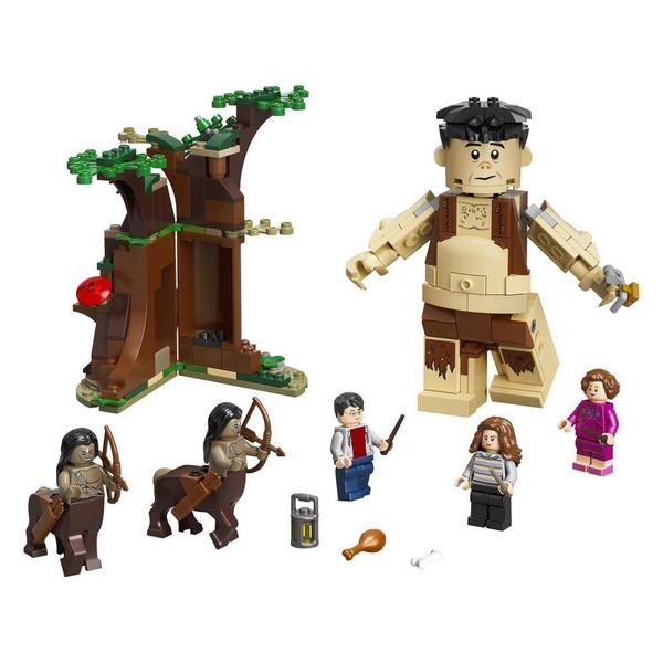 75967 - LEGO® Harry Potter - La Forêt interdite la rencontre d Ombrage