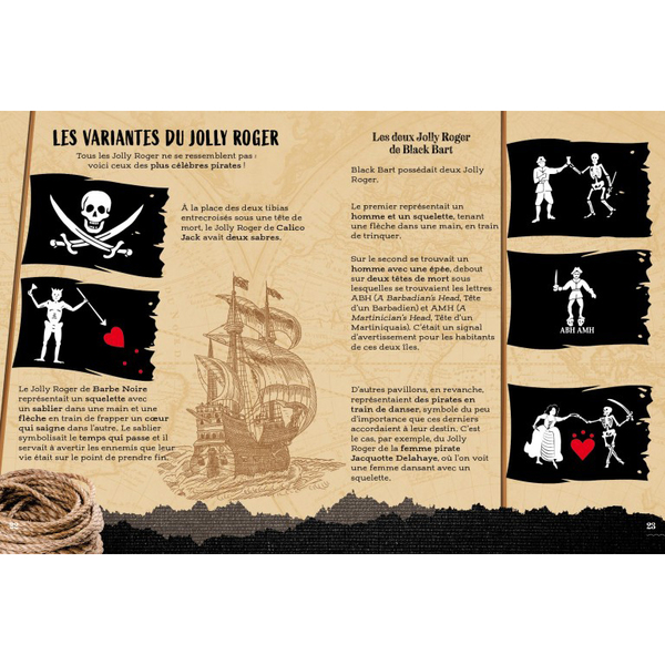 Les aventures des Pirates 3D 