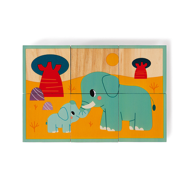 6 cubes en bois animaux WWF 