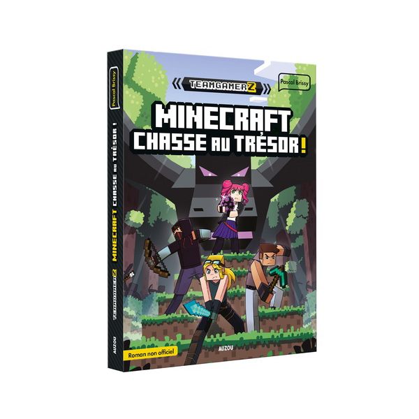 Roman Team Gamerz tome 2 "Minecraft : Chasse au trésor"