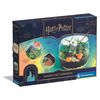 Terrarium Harry Potter