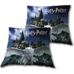 Coussin Harry Potter