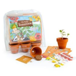 Mini serre 6 pots Tomates