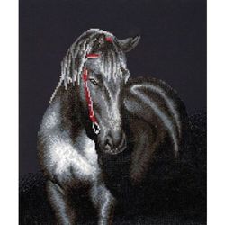 Diamond Dotz Midnight Stallion