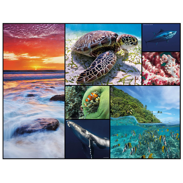 Puzzle WWF océans - 48 pièces