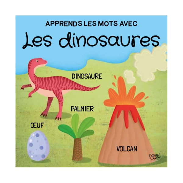 Q-box dinosaures - Livre puzzle et 10 dinosaures