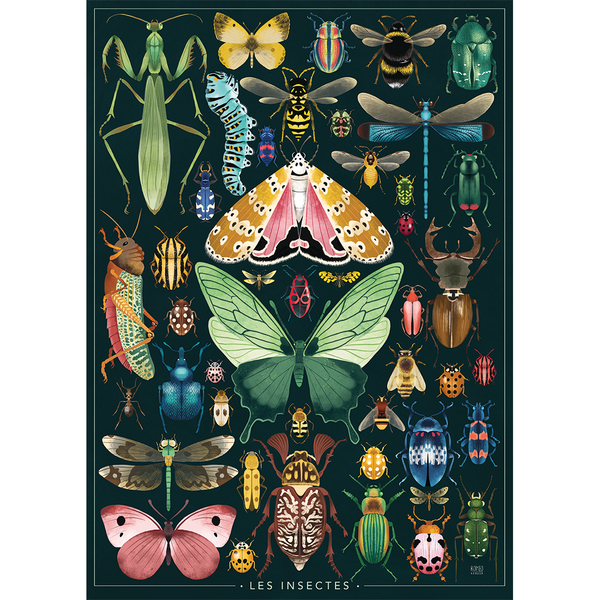 Puzzle 1000 pièces - Les insectes