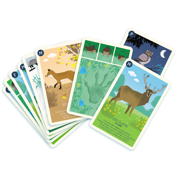 Jeu de 9 familles forêt