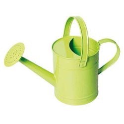 Arrosoir Métal 1.6L