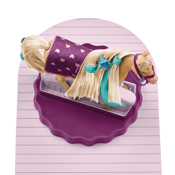 Studio de beauté pour chevaux Sofia’s Beauties