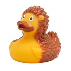 Canard de bain hérissons