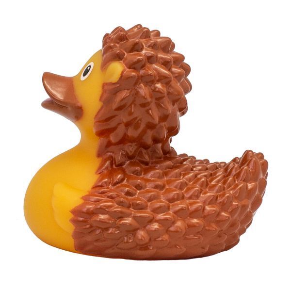 Canard de bain hérissons