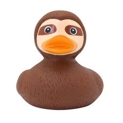 Canard Paresseux