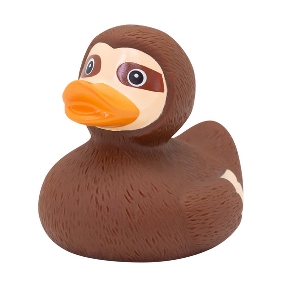 Canard Paresseux