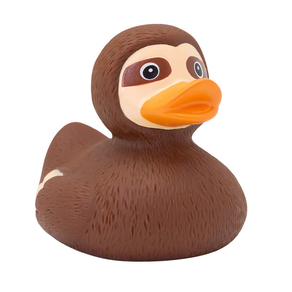 Canard Paresseux