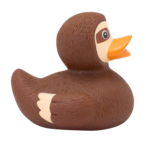 Canard Paresseux