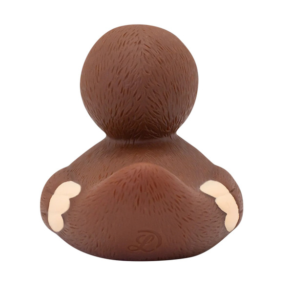 Canard Paresseux