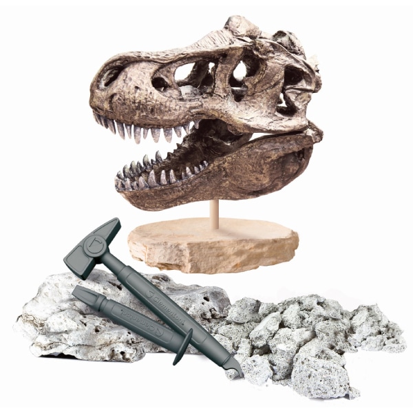 Coffret science - Crâne de T-Rex