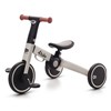 Tricycle 4Trike gris