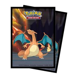 Pokémon - Protèges Cartes Standard x65