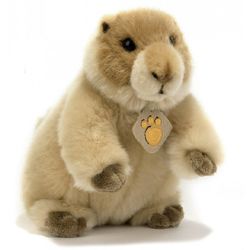 Peluche marmotte 22cm