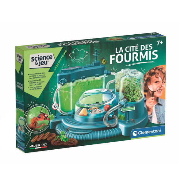 La cité des fourmis