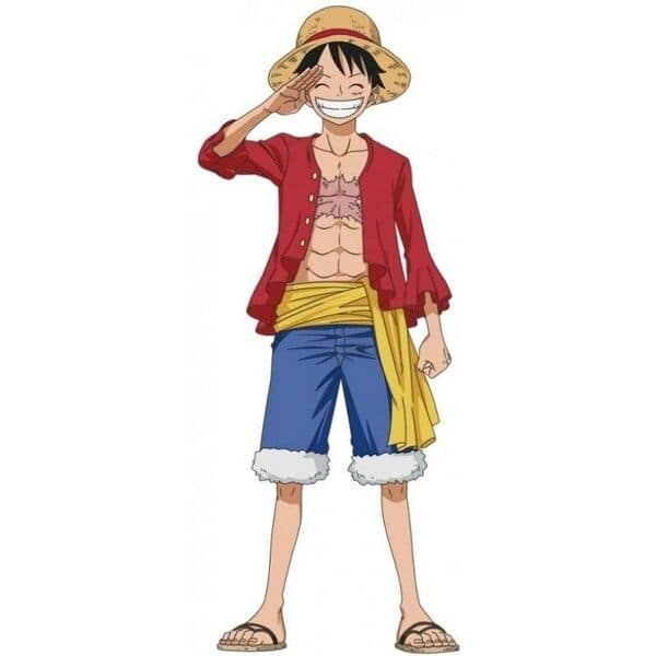 Déguisement Luffy One Piece 7-8 ans