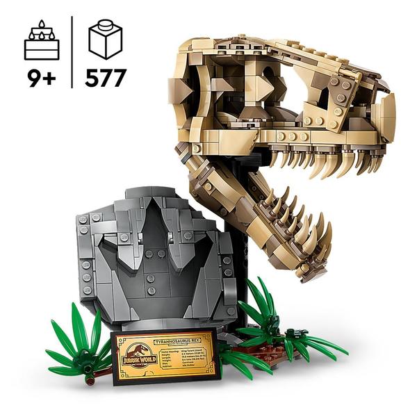 76964 - LEGO® Jurassic World - Les Fossiles de Dinosaures : Le Crâne du T. Rex