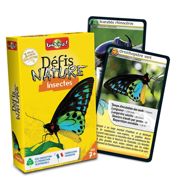 Défis nature - Insectes