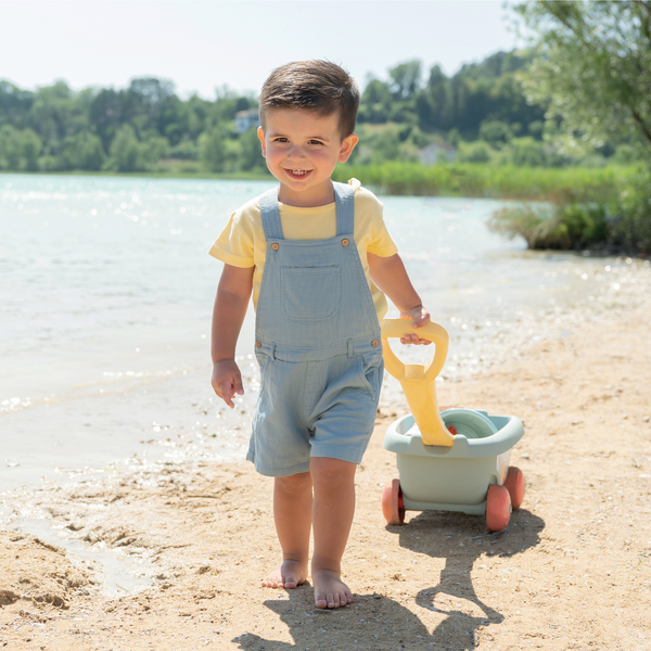 Chariot de plage avec accessoires - Smoby Life