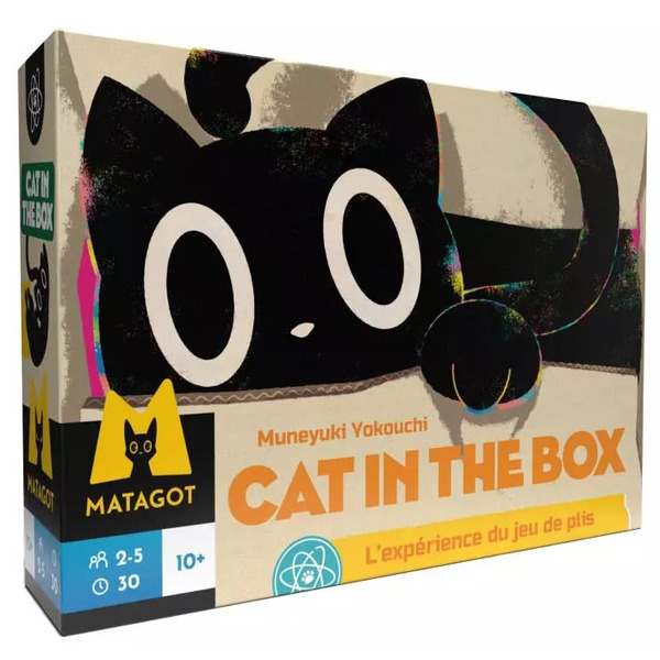 Cat in the box