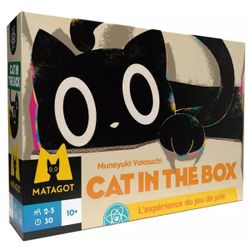 Cat in the box