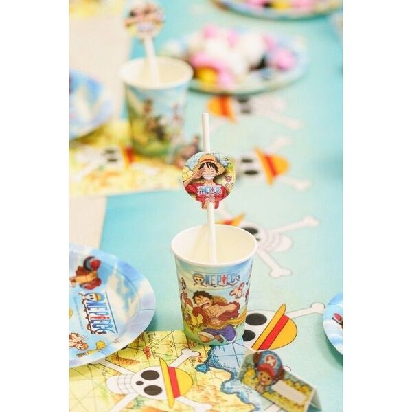 9 Pailles en carton One Piece