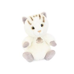 Chat 20cm