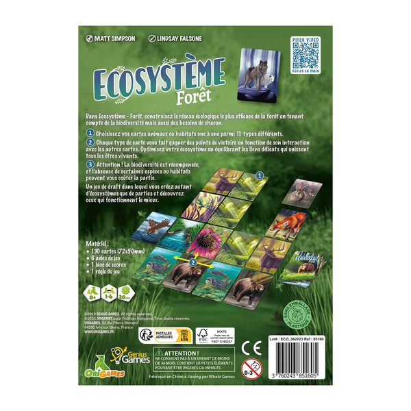  Ecosystème - Forêt