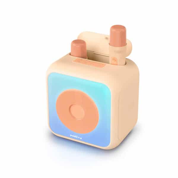 Enceinte karaoké avec 2 micros sans fil