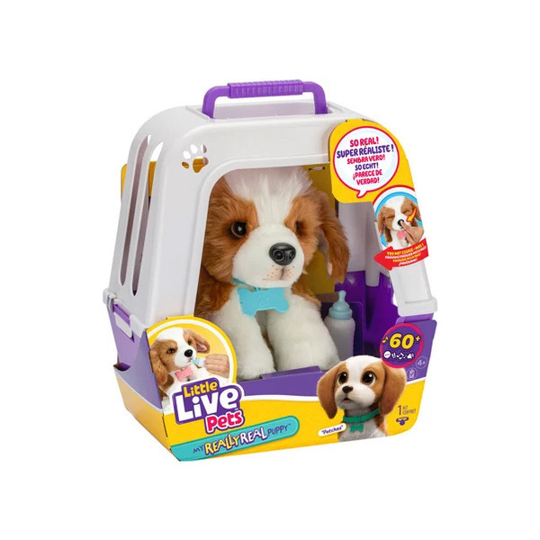 Mon chiot Beagle Little Live Pets